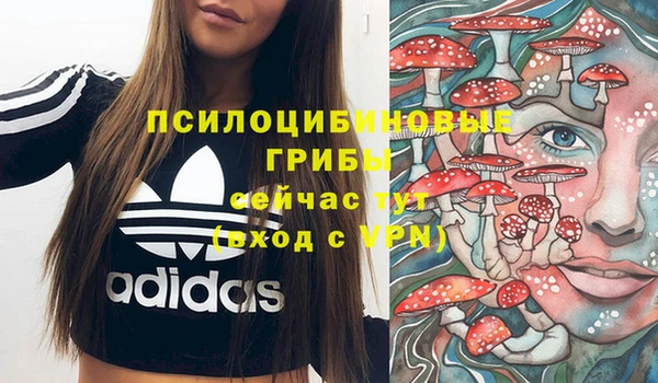ГАЛЛЮЦИНОГЕННЫЕ ГРИБЫ Протвино