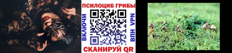 Псилоцибиновые грибы мицелий  Анадырь 